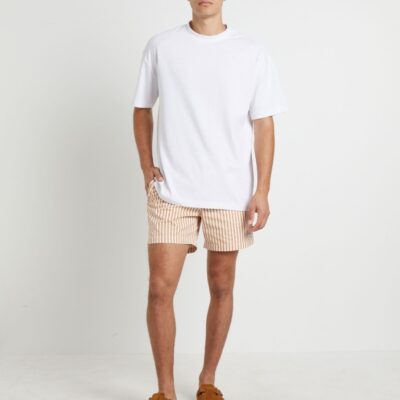 Online ARVUST Dover Volley Boardshorts In Rust