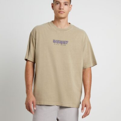 Online INSIGHT Since Never Short Sleeve T-Shirt In Taupe